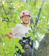  ?? PHOTO / BEVAN CONLEY ?? Arborist Nicky Ward-allen setting up for the tree climbing competitio­n in Whanganui.