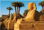  ??  ?? LEGENDARY: See the sights of Egypt on a luxurious cruise along the Nile