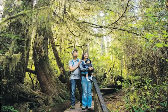  ?? PARKS CANADA ?? Hikers in Pacific Rim National Park. A proposal for a 28-kilometre biking and hiking trail linking Tofino and Ucluelet is gathering steam.