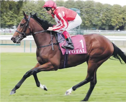  ??  ?? HIGHLY RATED. Talented filly Dabyah runs in the Group 3 Fred Darling Stakes at Newbury on Saturday.