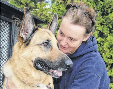  ?? LYNN CURWIN/TRURO DAILY NEWS ?? Lindsay Russell spends some time with Stella, one of her own dogs. Russell, who is currently handling animal control for Colchester County, trained and worked with Elsie Debay.