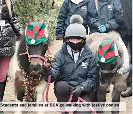  ??  ?? Students and families at BCA go walking with festive ponies
