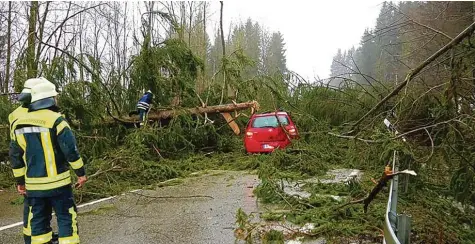  ?? Foto: Benjamin Liss, dpa ?? Ein 75 Jähriger wurde bei einem Unfall durch einen umgestürzt­en Baum auf der B19 zwischen Tiefenberg und Fischen im Allgäu leicht verletzt, die Straße war wegen der Bergungsar­beiten eineinhalb Stunden gesperrt.