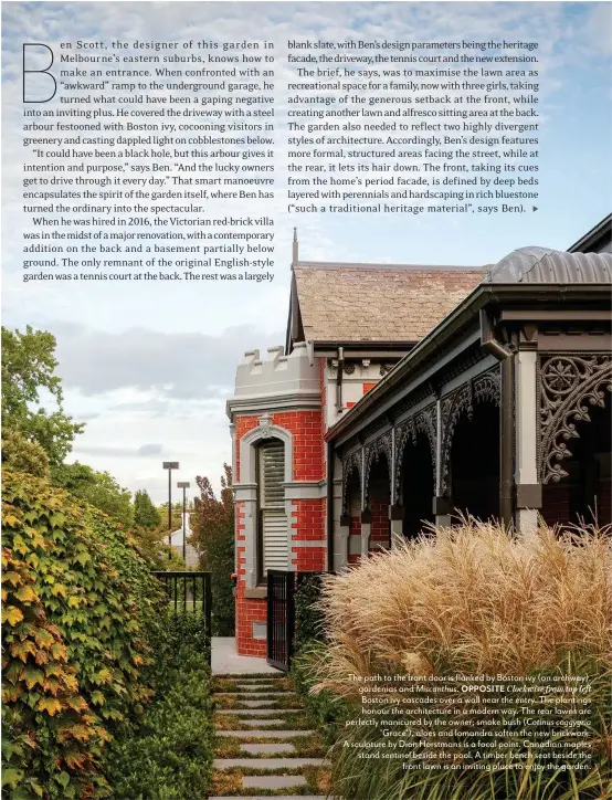  ??  ?? The path to the front door is flanked by Boston ivy (on archway), gardenias and Miscanthus. OPPOSITE Clockwise from top left
Boston ivy cascades over a wall near the entry. The plantings honour the architectu­re in a modern way. The rear lawns are perfectly manicured by the owner; smoke bush ( Cotinus coggygria
‘Grace’), aloes and lomandra soften the new brickwork. A sculpture by Dion Horstmans is a focal point. Canadian maples stand sentinel beside the pool. A timber bench seat beside the front lawn is an inviting place to enjoy the garden.