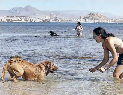  ??  ?? An einigen Stränden, wie hier in Agua Amarga, dürfen sich auch die Hunde erfrischen.