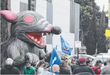  ??  ?? A giant rat was erected outside City Hall as unions and employees took part in strike action against the council.