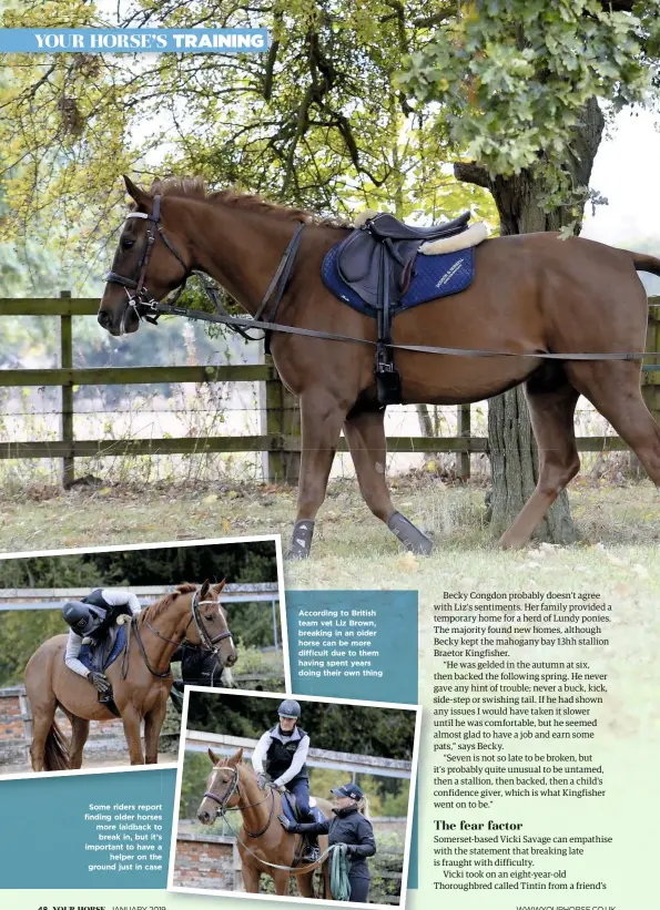  ??  ?? Some riders report finding older horses more laidback to break in, but it’s important to have a helper on the ground just in case According to British team vet Liz Brown, breaking in an older horse can be more difficult due to them having spent years doing their own thing