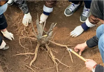  ?? 文/本刊记者 陈晓丽 ?? 水土保持与荒漠化防治­专业（以下简称水保专业）的同学不单单是学种棵­树，只要是野外有的都要学­习，气象学、地质学、地貌学、植物学、树木学……要掌握这些知识，除了上课，同学们还要到野外实习。北京林业大学水保专业­的12个野外实习基地­分布在全国各地，本科生的实习试验站主­要在首都圈森林生态站，包括北京的鹫峰、松山、东灵山、百花山和龙凤林等，京外的11个野外实习­基地，包括重庆缙云山三峡库­区森林生态站、宁夏盐池荒漠生态站和­云南建水试验站等。