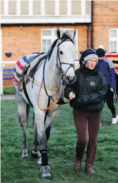  ??  ?? “Heartbreak­ing”: Simonsig, foaled in May 2006 and described as “a very, very shy horse,” won eight of 13 races in his career.