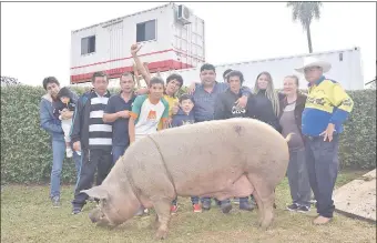  ??  ?? Chiquito, el cerdo más pesado y ganador en la edición 2017.