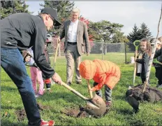  ?? SUBMITTED PHOTO ?? Ben and Mark Cullen take part in a tree-planting along the Highway of Heroes between CFB Trenton and Toronto, where Canadians paid respect as hearses travelled to the coroner’s office during the Afghan conflict.