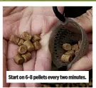  ??  ?? Start on 6-8 pellets every two minutes.