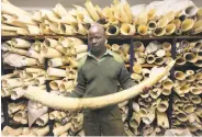  ?? Tsvangiray­i Mukwazhi / Associated Press ?? A Zimbabwe parks official takes inventory of the nation’s ivory stockpile in the capital, Harare.