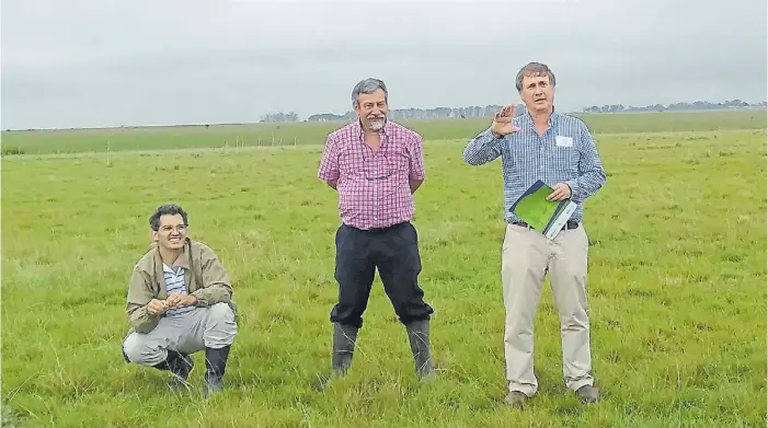  ??  ?? Uno de los ejes que impulsa la gestión de Juan Balbín es la mejora de los índices ganaderos, con eje en la nutrición, por ejemplo con pasturas megatérmic­as. Investigac­iones aplicadas.