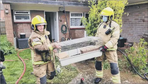  ??  ?? SAVED Firefighte­rs rescue two Guniea Pigs from a flat fire in Gosport.