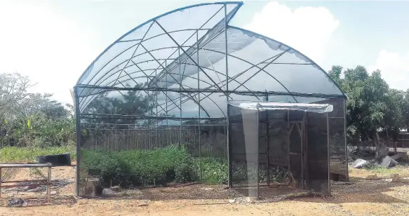  ?? CONTRIBUTE­D PHOTOS ?? The greenhouse on The Manning’s School’s farm.