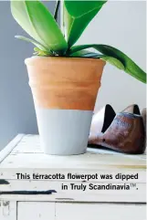  ??  ?? This terracotta flowerpot was dipped
in Truly Scandinavi­atm.