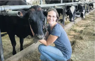  ??  ?? Mélanie Gagné et la Fédération de producteur­s des races patrimonia­les du Québec (FPRPQ) mettent tout en oeuvre pour sauver la centaine de vaches Canadienne­s d’un sort incertain.