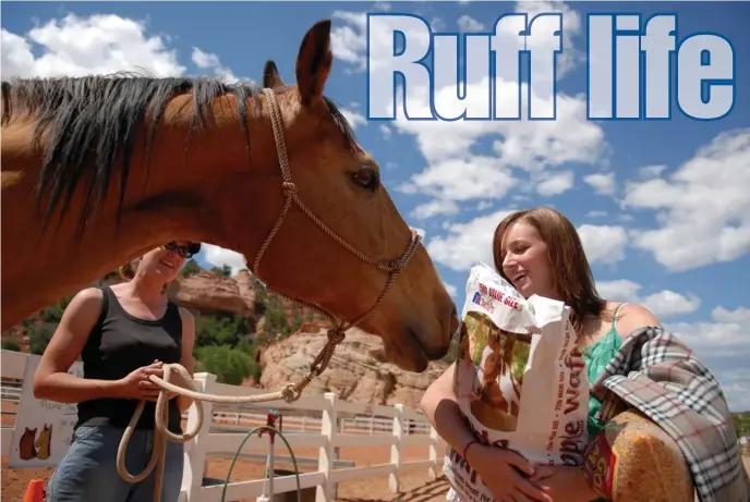  ??  ?? IN THE CORRAL: Horse Haven is one of the areas volunteers can select from at Best Friends Animal Sanctuary.