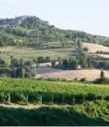  ??  ?? The village of Todi in the Umbrian countrysid­e. Italy’s 2017 vintage is predicted to slump 23 per cent.