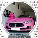  ??  ?? There were 20,873 pink cars on the roads in 2017