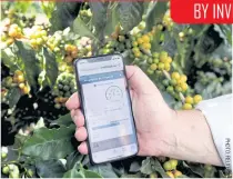  ??  ?? A farmer shows an irrigation management system app on his mobile phone at a coffee plantation in Sao Sebastiao do Paraiso, Brazil.