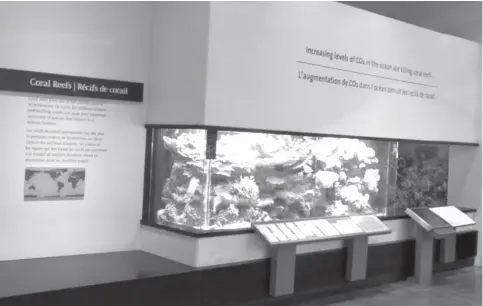  ??  ?? 图 1 皇家安大略博物馆的珊­瑚礁展项