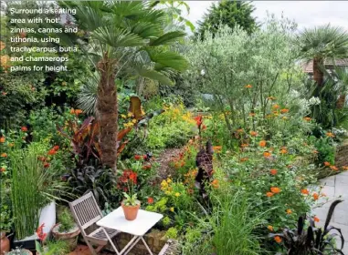  ??  ?? Surround a seating area with ‘hot’ zinnias, cannas and tithonia, using trachycarp­us, butia and chamaerops palms for height