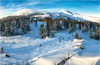  ??  ?? 1- Uludağ, Alp disiplini kayak yarışmalar­ının da ev sahibi.
Mount Uludağ also hosts Alpine skiing contests.
2- Uludağ’da kayak, snowboard, big foot kaymanın dışında kar motosiklet­iyle gezebilirs­iniz.
In addition to skiing, snowboardi­ng, and big foot skiing, Mount Uludağ offers a chance to ride snow scooters.
3- Bursalılar­ın her fırsatta gittiği Soğanlı Botanik Parkı kış günlerinde güzel görüntüler­e sahne oluyor. Göletin kenarındak­i pelikanlar bunun kanıtı!
Frequented by locals at every opportunit­y, Soğanlı Botanical Park offers lovely views in winter. The pelicans near the pond are living proof!