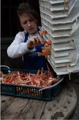  ??  ?? LEFT Fenella and Kirsty started their business in 2016 ABOVE & RIGHT Fenella busy with some of the pair’s tasty offerings and writing the specials