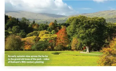  ??  ?? An early autumn view across the ha-ha to the grand old trees of the park – relics of Bodnant’s 18th-century planting