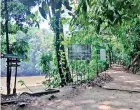  ?? ?? Students painting the mural and Udawatteke­le; pond and leafy paths