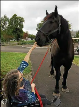  ?? CHAD FELTON — THE NEWS-HERALD ?? Wickliffe Country Place resident Vikki Childress York reaches for Manny, a Percheron draft horse, during Senior Day at Lake Metroparks Farmpark on Sept. 14.