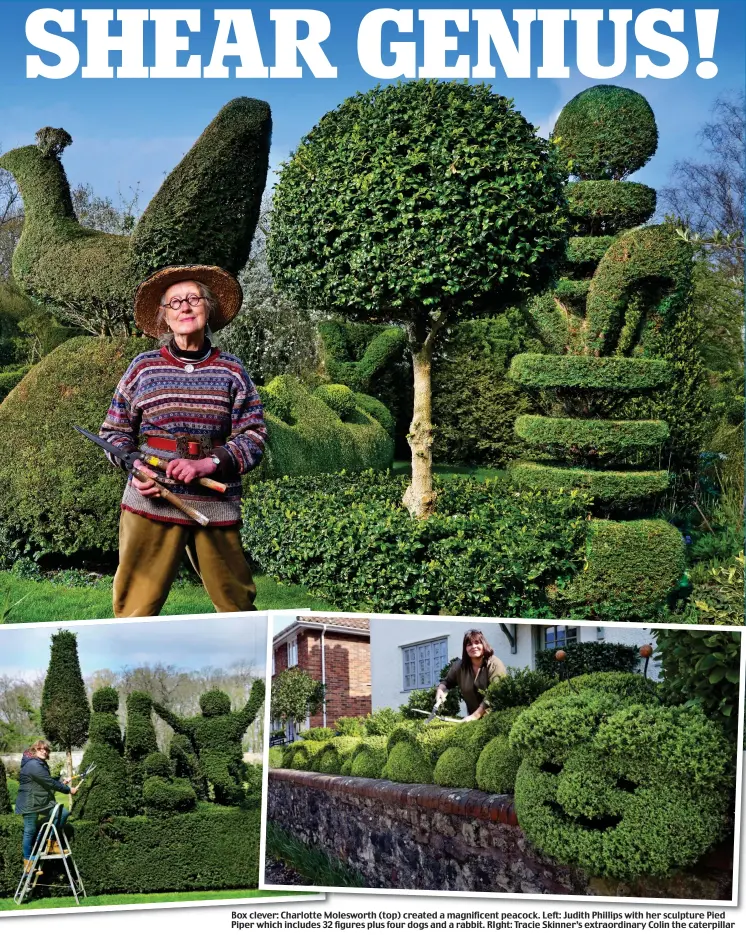  ??  ?? Box clever: clever:lever: Charlotte Mo Molesworth (top) created a amagnifice­nt magnificen­t peacock peacock. Left: Judith Phillips with her sculpture Pied Piper which includes 32 figures plus four dogs and a rabbit. RIght: Tracie Skinner’s extraordin­ary Colin the caterpilla­r