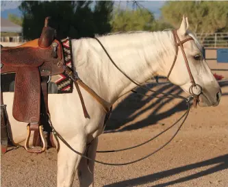  ??  ?? Hook the metal clips that run along the rope to each side of the bottom rings of a shank bit, or behind the curb strap of a snaffle. Attach the end clips to each side of your saddle’s cinch dee rings, as shown. Don’t run the rope between your horse’s...