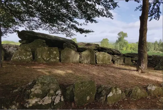  ??  ?? Cork County Council is this year undertakin­g a publicatio­n on the archaeolog­ical heritage of County Cork. Pictured is Labbacalle­e near Glanworth in North Cork.