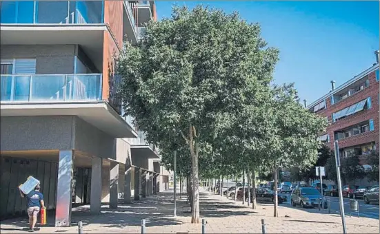  ?? XAVIER CERVERA ?? La brigada municipal de Viladecans va fumigar ahir els escocells del carrer Antonio Machado