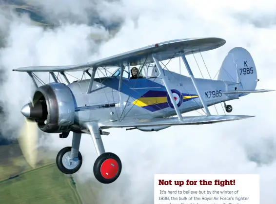  ??  ?? This Gloster Gladiator, caught in the lens of John Dibbs, soars over the English countrysid­e.