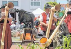  ??  ?? Die Alphorn-Bläser Rottumtal begeistert­en das Publikum.