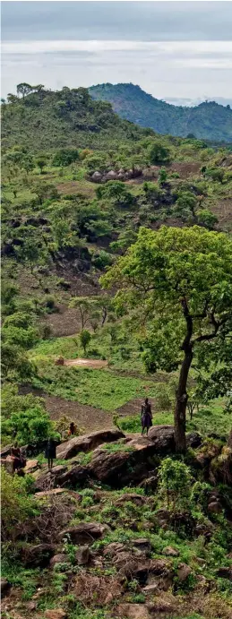  ??  ?? Ugandan peak
The highest point of Kidepo National Park, the 2,750m Mount Morungole is home to the Ik people; (bottom) the road into Kidepo National Park; (previous) Kidepo Valley National Park