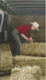  ??  ?? Picking up hay in your horse trailer can save on delivery costs.