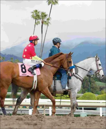  ?? BARBARA D. LIVINGSTON ?? Justify, Mike Smith up, ran a mile in 1:35.73 and earned a Beyer Speed Figure of 101 in his second start. The win sets him up for a shot at a major stakes in April.