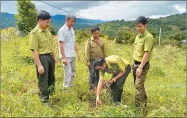  ?? ?? Lực lượng chức năng phối hợp kiểm tra diện tích rừng giao khoán.