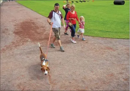  ?? JOSEPH PHELAN — JPHELAN@DIGITALFIR­STMEDIA.COM ?? Paws in the Park allowed owners to walk their dogs around Joe Bruno Stadium on Saturday afternoon.