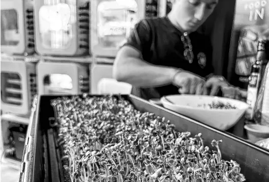  ?? REUTERS ?? A team member from Interstell­ar Lab of Merritt Island, Fla., prepares daikon radish sprouts during NASA’S Deep Space Food Challenge Phase 2 prize announceme­nt on May 19.