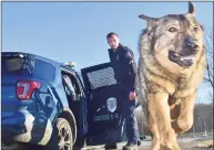  ?? Hearst Connecticu­t Media file photo ?? A police K-9 is used when tracking a missing person who is believed to be on foot.