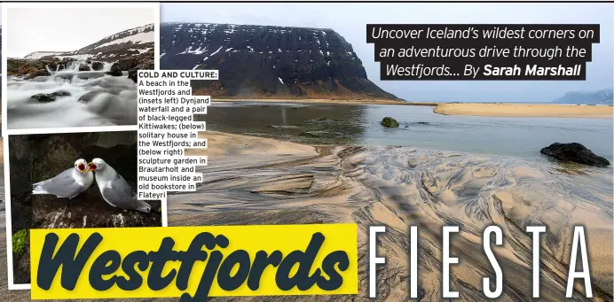  ?? ?? COLD AND CULTURE: A beach in the Westfjords and
(insets left) Dynjand waterfall and a pair of black-legged Kittiwakes; (below) solitary house in the Westfjords; and (below right) sculpture garden in Brautarhol­t and museum inside an old bookstore in Flateyri