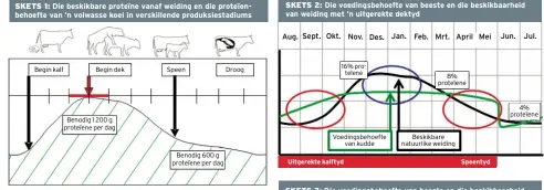  ??  ?? Aug. Sept. Okt. Nov. Des. Jan. Feb. Mrt. April Mei Jun. Jul.