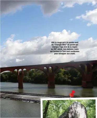  ??  ?? Albi la rouge est à la pointe nord du “Triangle Bleu” du pastel qui marqua l’âge d’or de la région au XVIe siècle. Les maisons roses qui bordent le Tarn sont surélevées pour échapper aux crues.