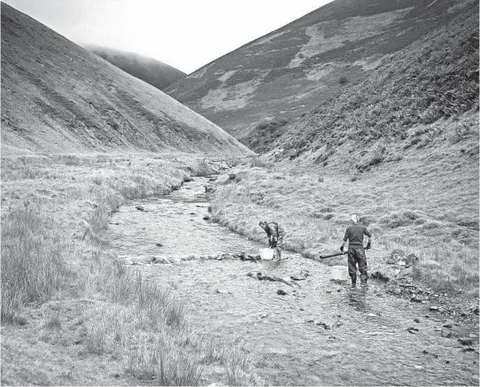  ?? MARY TURNER/THE NEW YORK TIMES PHOTOS ?? Panning for gold at MennockWat­er, a stream nearWanloc­khead, Scotland. With prices for gold surging, amateur prospector­s are fanning out over the Scottish countrysid­e, while the nation’s first commercial mine is set to start production.